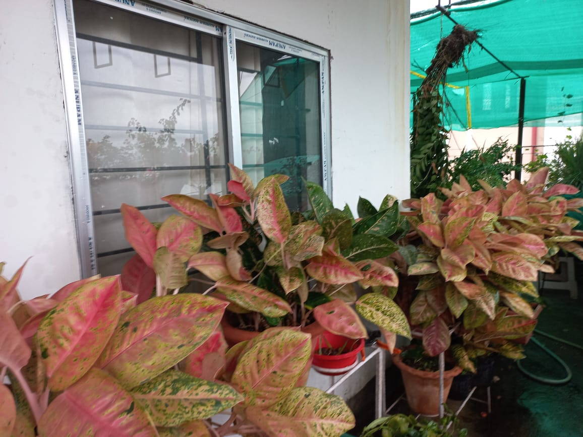 Semi Furnished 3bhk in Nagar Path, Ganesh Mandir, Dispur, Guwahati, Assam, India for Rent